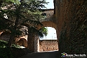 VBS_4481 - Castellinaldo d'Alba